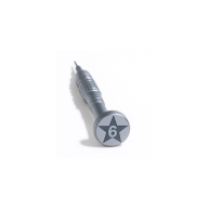 Screw Driver Torx 6